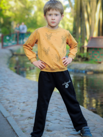 Свитшот ODWEEK модель 300102 Фото