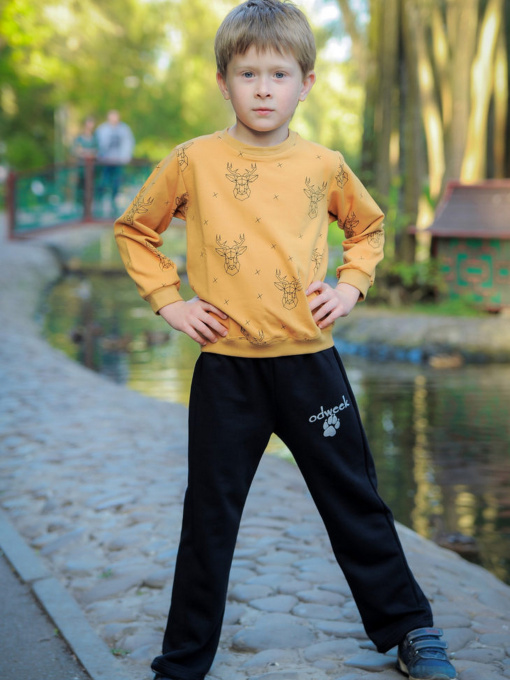 Світшот ODWEEK модель 300102 Фото