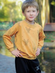 Свитшот ODWEEK модель 300102 Фото