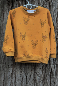 Свитшот ODWEEK модель 300102 Фото