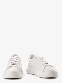 Кеды низкие LeBERDES модель 00000016695 Фото