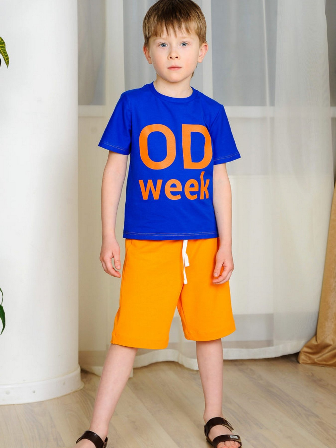 Повсякденні шорти ODWEEK модель 040103 Фото