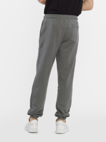 Джоггеры Arber модель F26.14.14.411 Фото