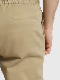 Чиносы Arber модель M01.42.16.411 Фото