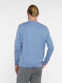 Джемпер Arber модель M10.09.23.411 Фото