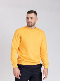 Світшот Feel and Fly модель 232316 Світшот Feel and Fly модель 232316 Фото