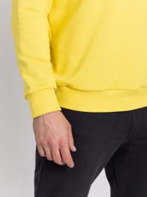 Худи и свитшоты Feel and Fly модель 242320 Фото