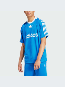 Футболка Adidas Adicolor модель IM9456 Фото