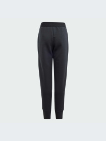 Штаны спортивные Adidas ZNE модель IN7288 Штаны спортивные Adidas ZNE модель IN7288 Фото