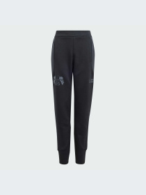 Штаны спортивные Adidas ZNE модель IN7288 Штаны спортивные Adidas ZNE модель IN7288 Фото