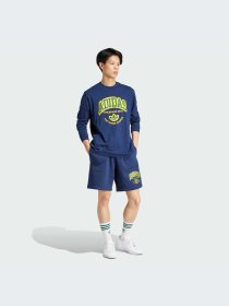 Шорты Adidas Graphics модель IS2930 Фото