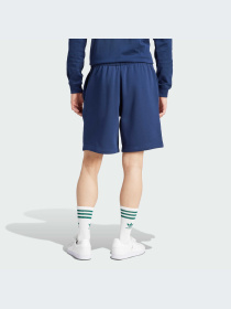 Повсякденні шорти Adidas Graphics модель IS2930 Фото