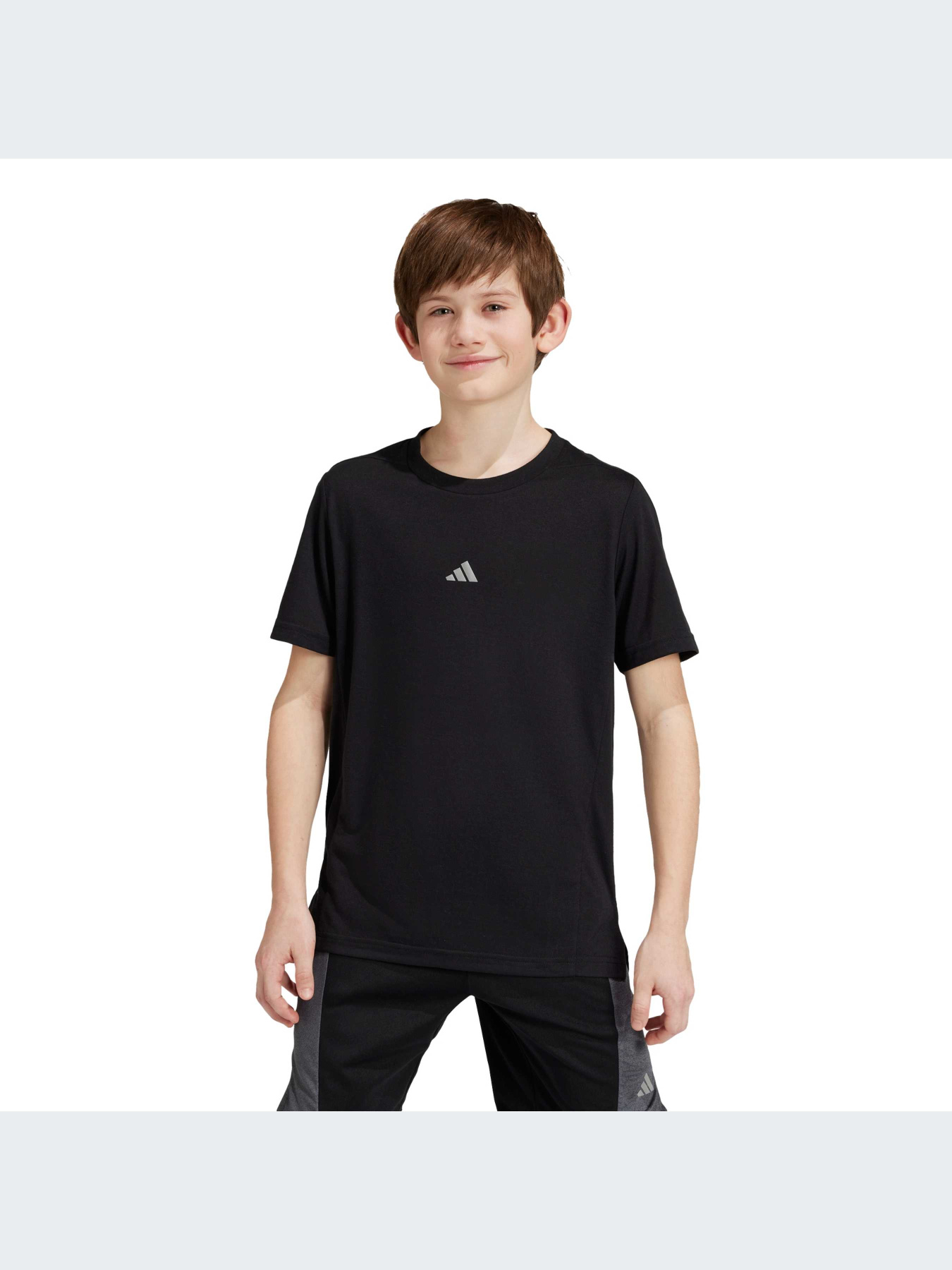 Футболка Adidas модель IR6464 Фото