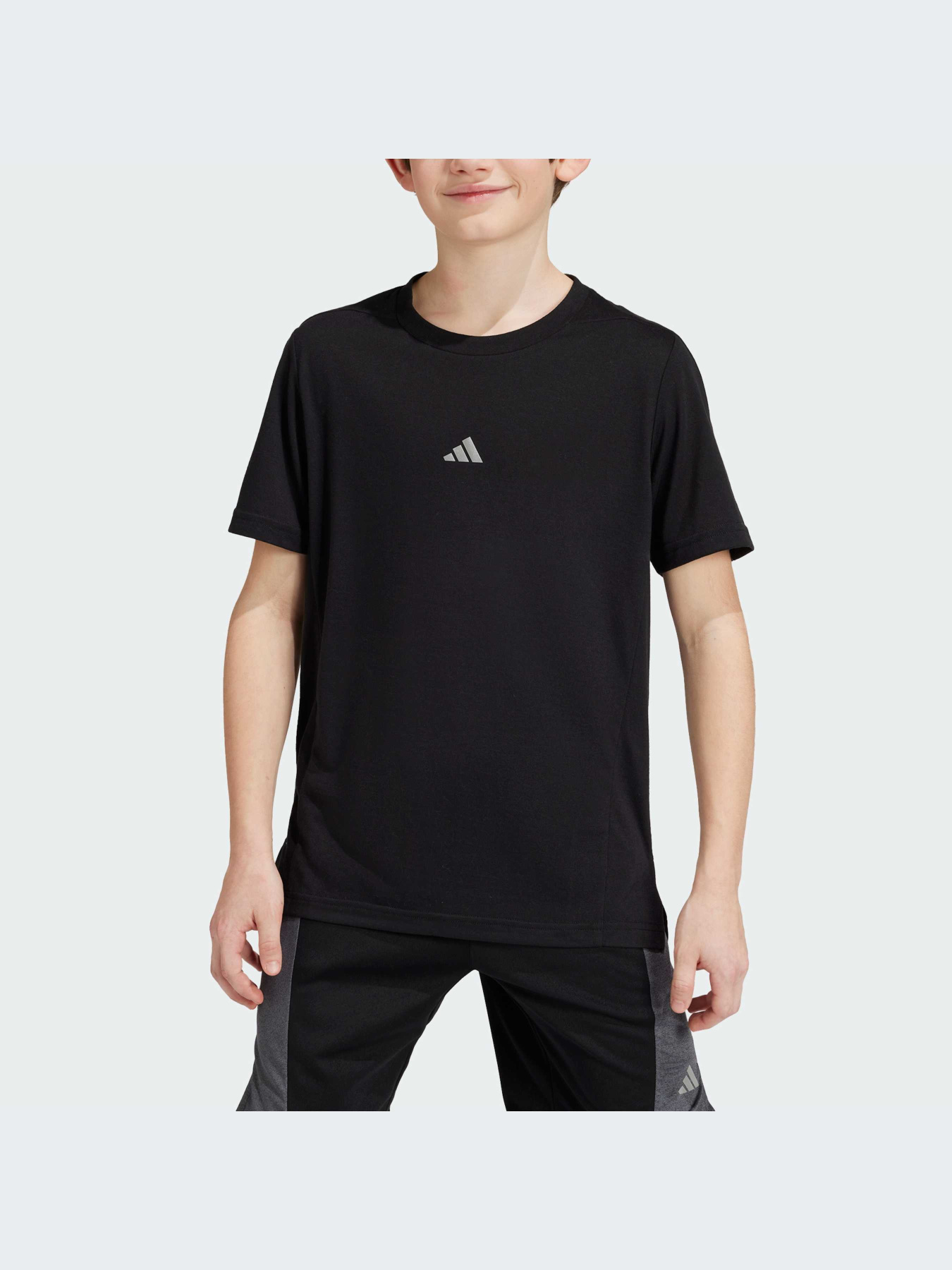 Футболка Adidas модель IR6464 Фото