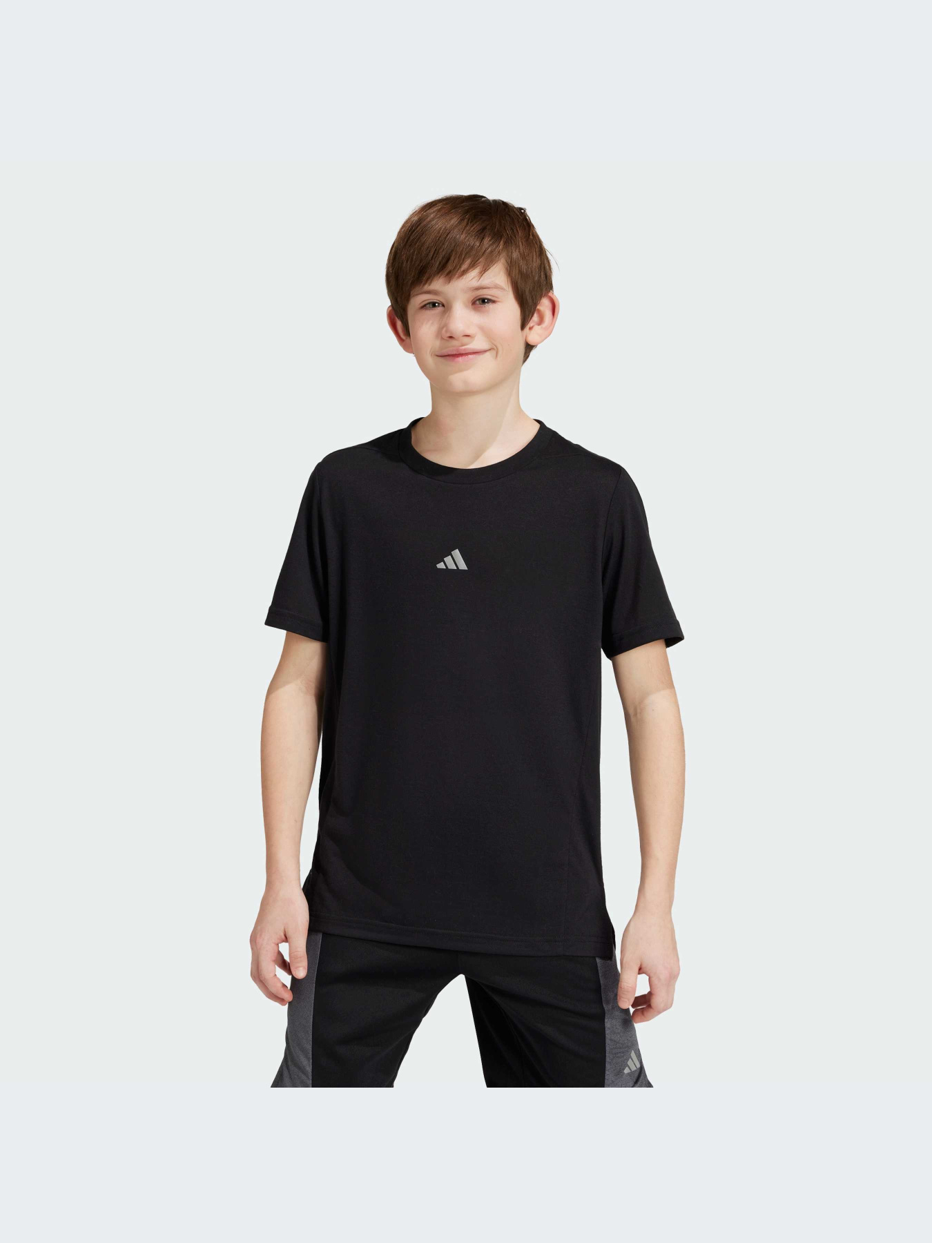 Футболка Adidas модель IR6464 Фото