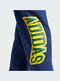 Штани спортивні Adidas Graphics модель IS0196 Фото