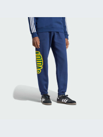 Штани спортивні Adidas Graphics модель IS0196 Фото