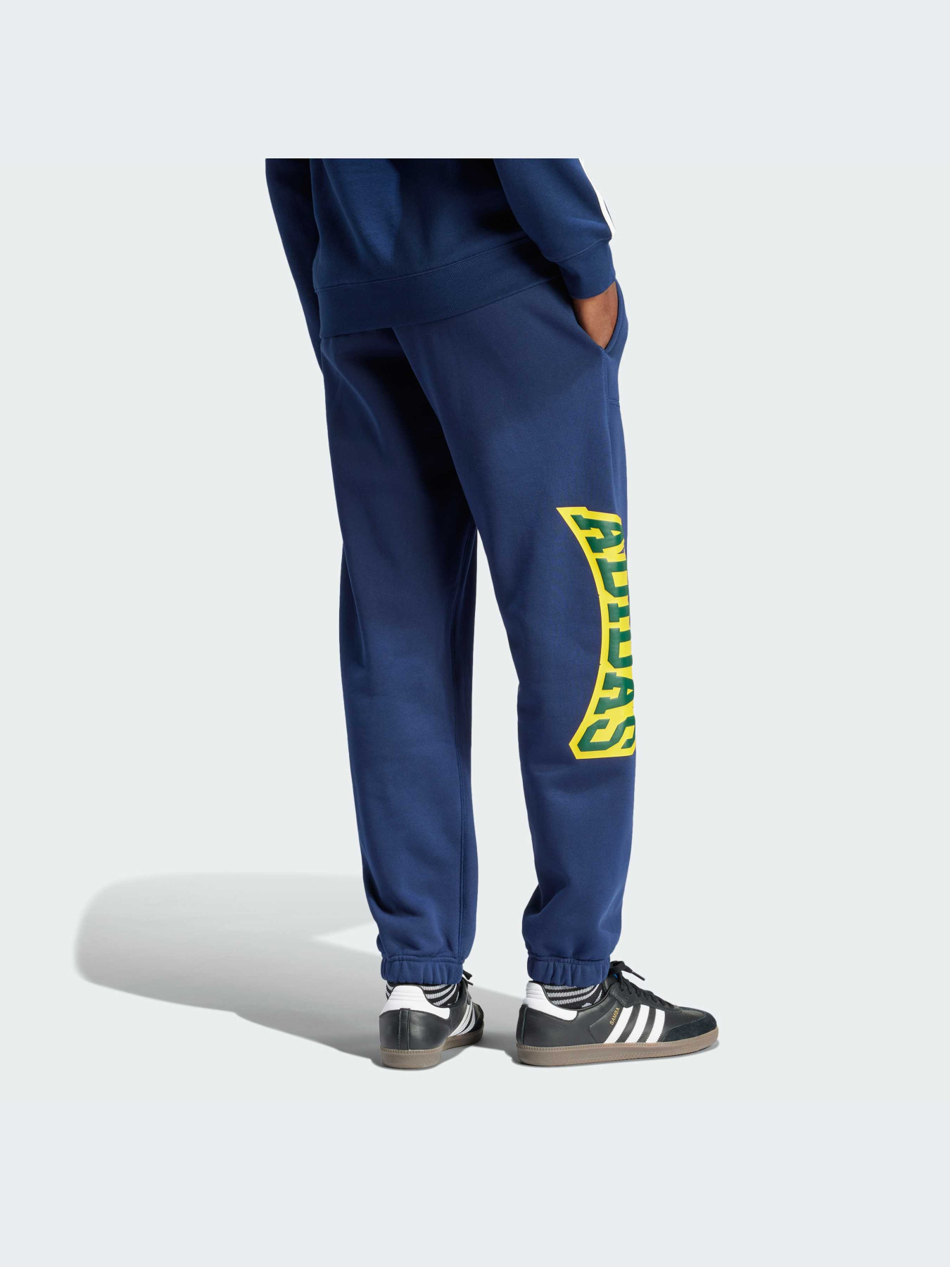 Штаны спортивные Adidas Graphics модель IS0196 Фото