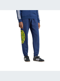 Штаны спортивные Adidas Graphics модель IS0196 Фото