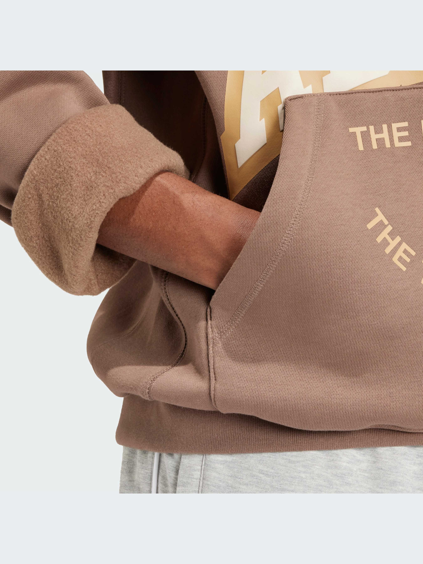 Худи Adidas Graphics модель IS0237 Фото