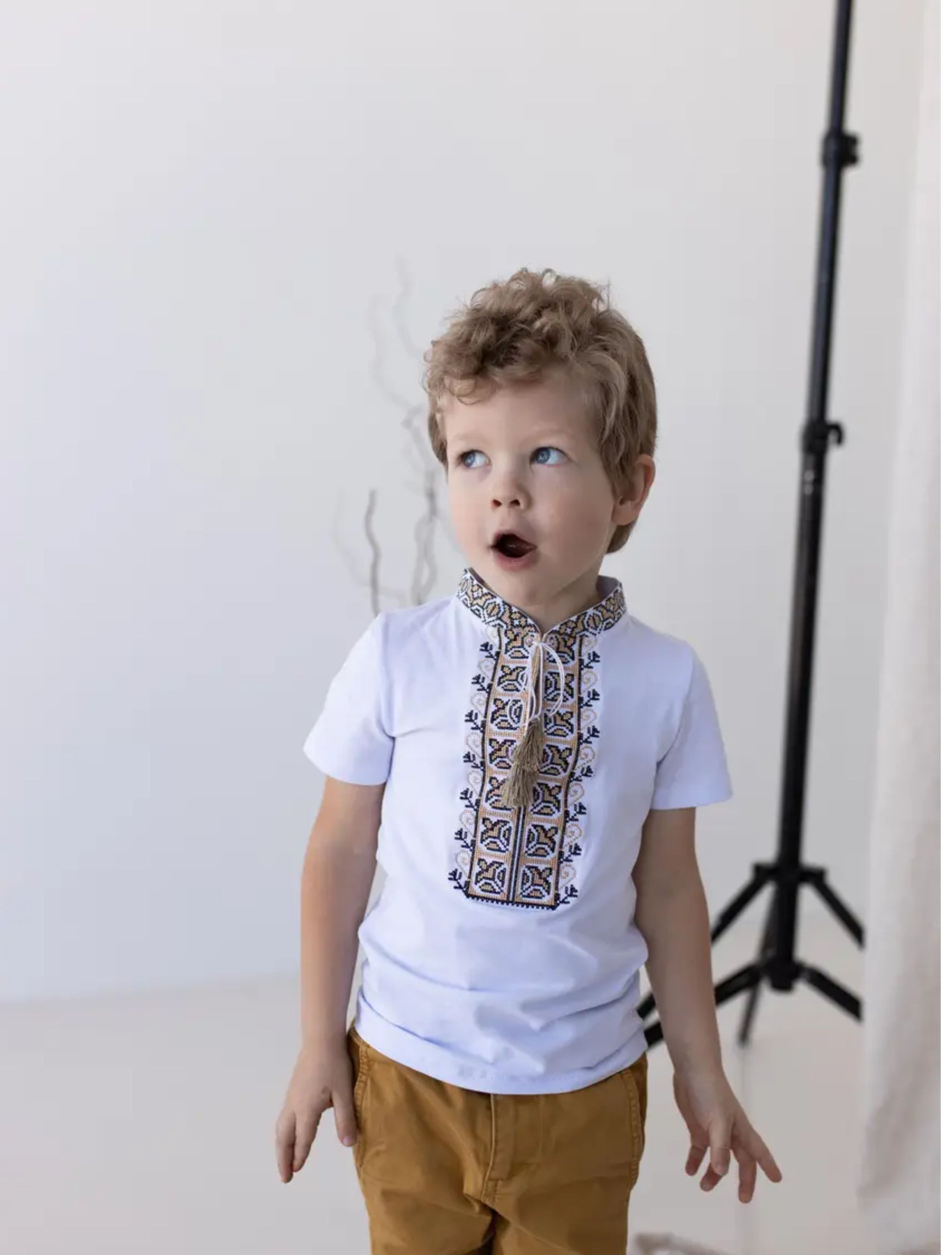 Вишита сорочка Melanika Модель 1528910614 Фото