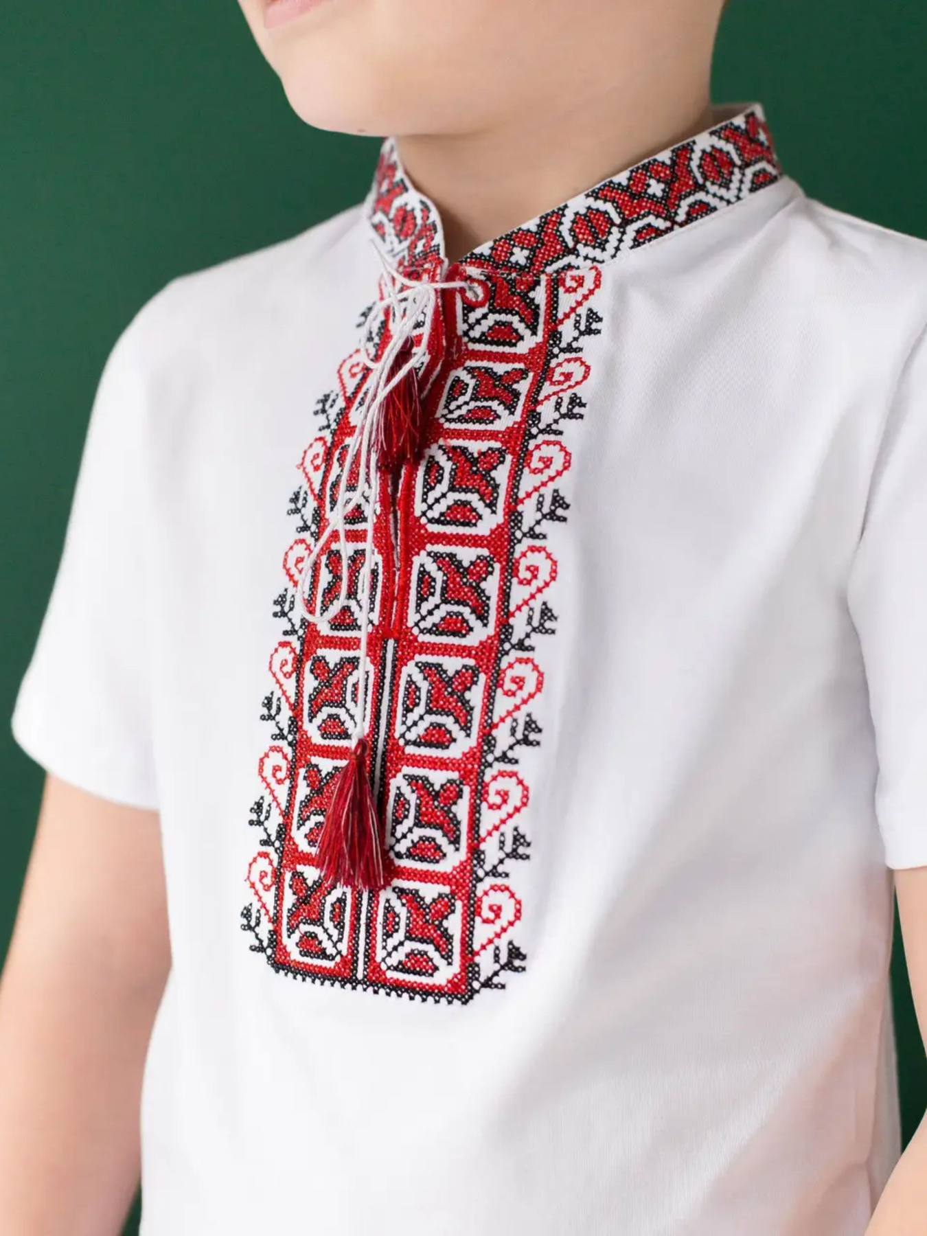 Вишита сорочка Melanika Модель 1528919226 Фото