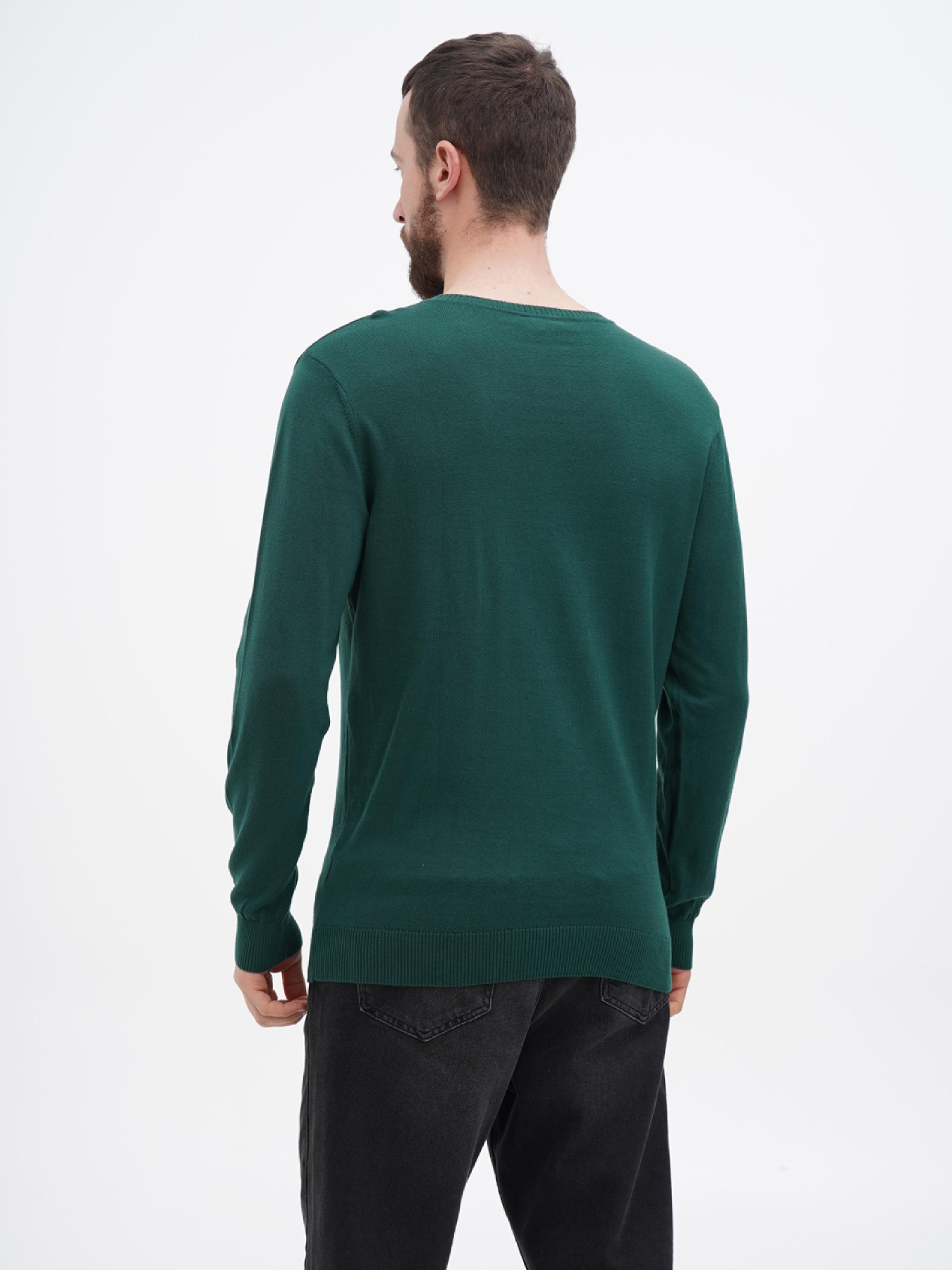 Джемпер US Polo модель USPA.1260040.VR054 Фото