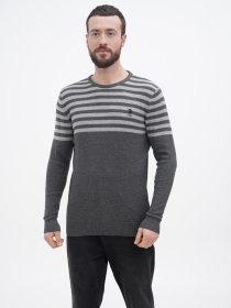 Джемпер US Polo модель USPA.1056229.VR006 Фото