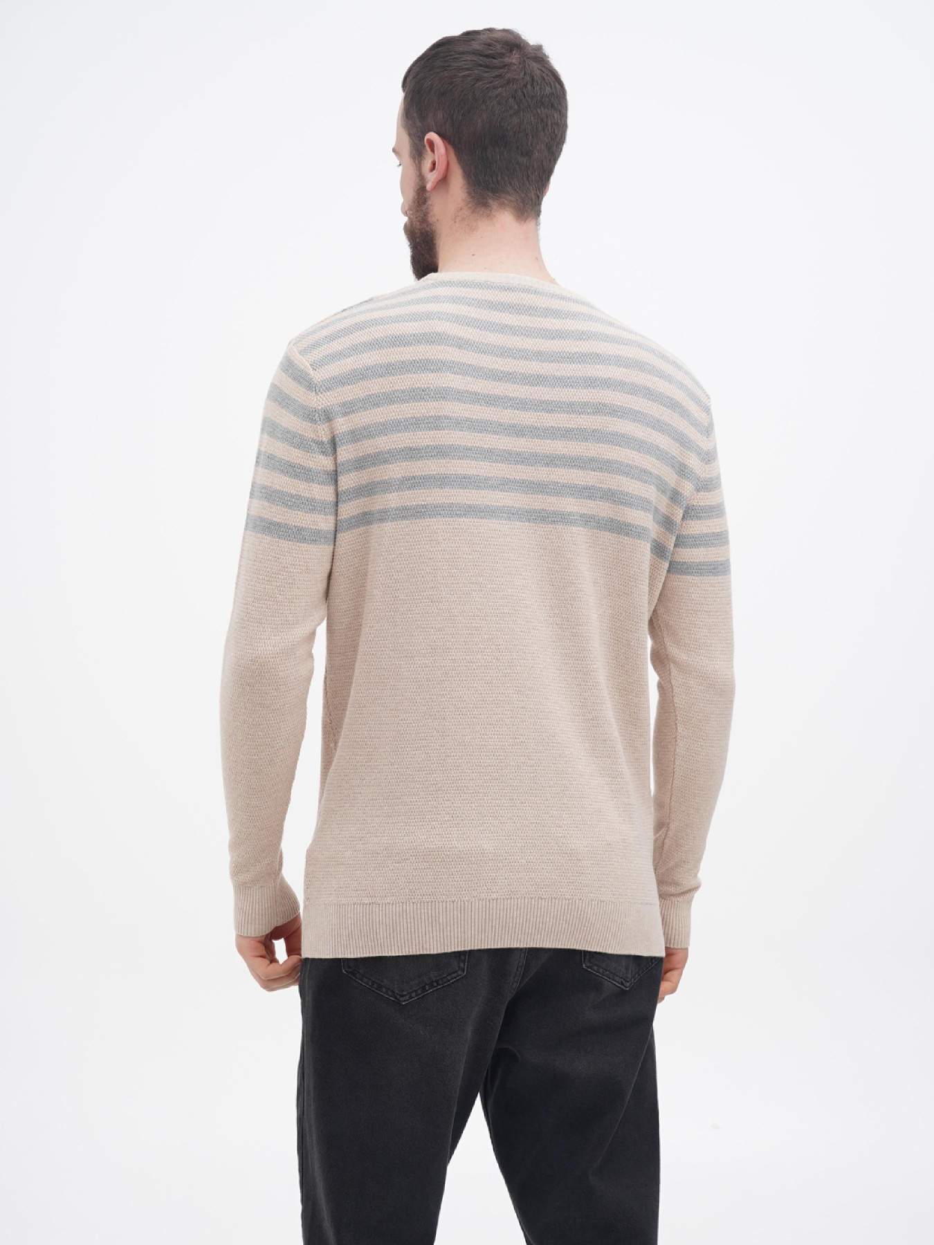 Джемпер US Polo модель USPA.1056229.VR122 Фото