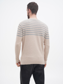 Джемпер US Polo модель USPA.1056229.VR122 Фото