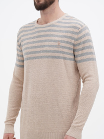 Джемпер US Polo модель USPA.1056229.VR122 Фото