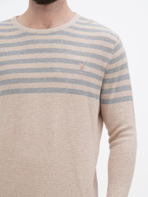 Джемпер US Polo модель USPA.1056229.VR122 Фото