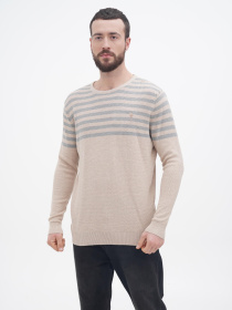 Джемпер US Polo модель USPA.1056229.VR122 Фото