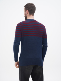 Джемпер US Polo модель USPA.1056229.VR033 Фото