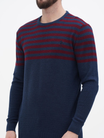 Джемпер US Polo модель USPA.1056229.VR033 Фото