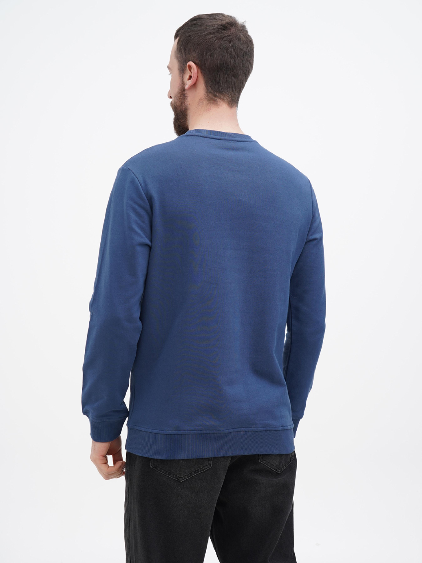 Свитшот US Polo модель USPA.Hu231122-1.VR036 Фото