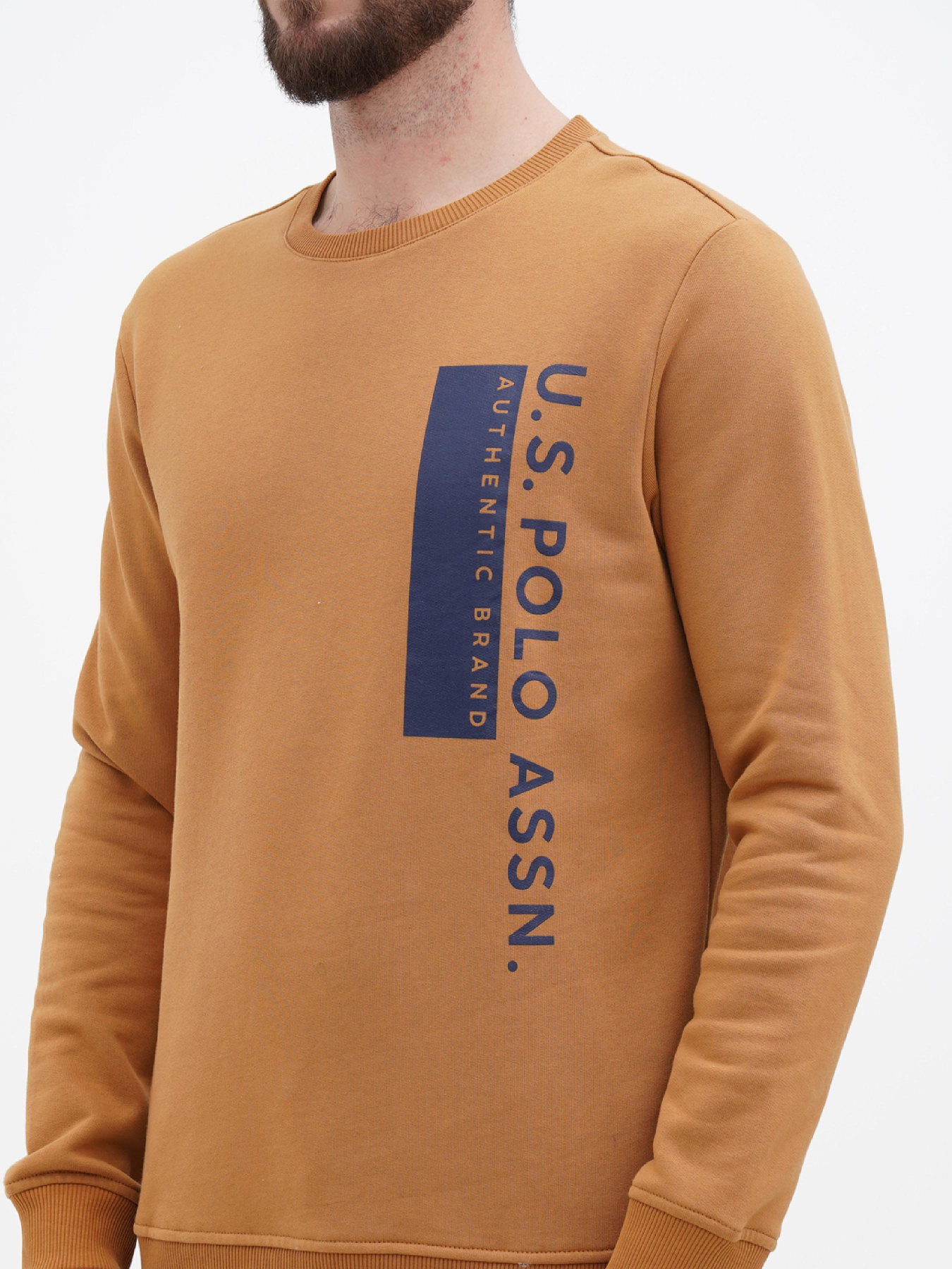 Свитшот US Polo модель USPA.Hu231122-2.VR072 Фото