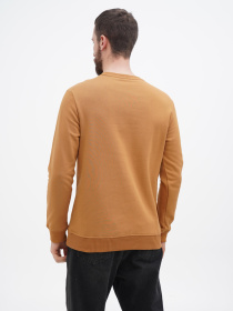 Свитшот US Polo модель USPA.Hu231122-2.VR072 Фото