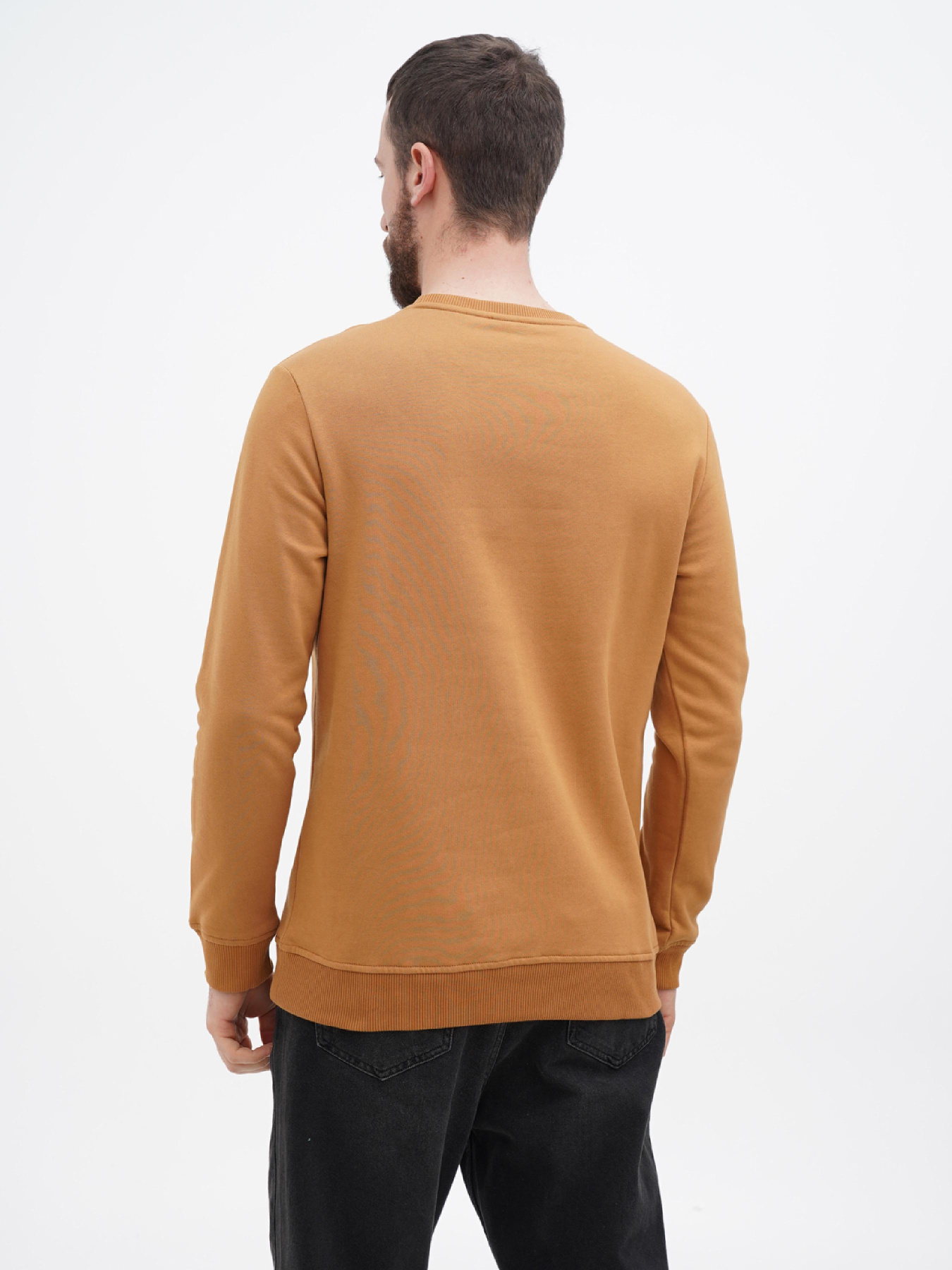 Світшот US Polo модель USPA.Hu231122-2.VR072 Фото