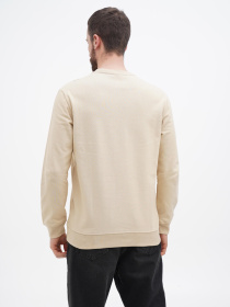 Свитшот US Polo модель USPA.Hu231122-3.VR019 Фото