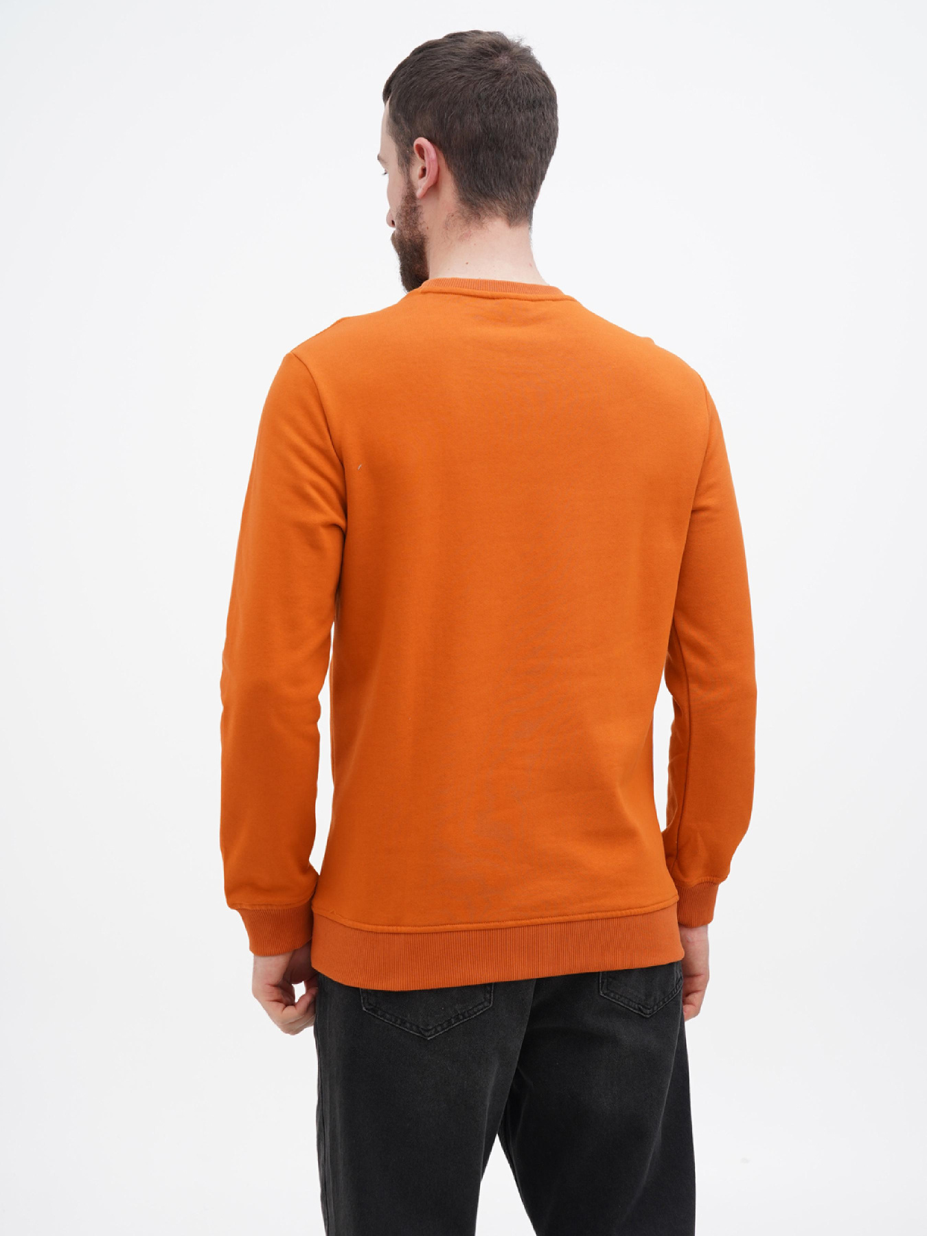 Свитшот US Polo модель USPA.Hu231122-4.VR051 Фото