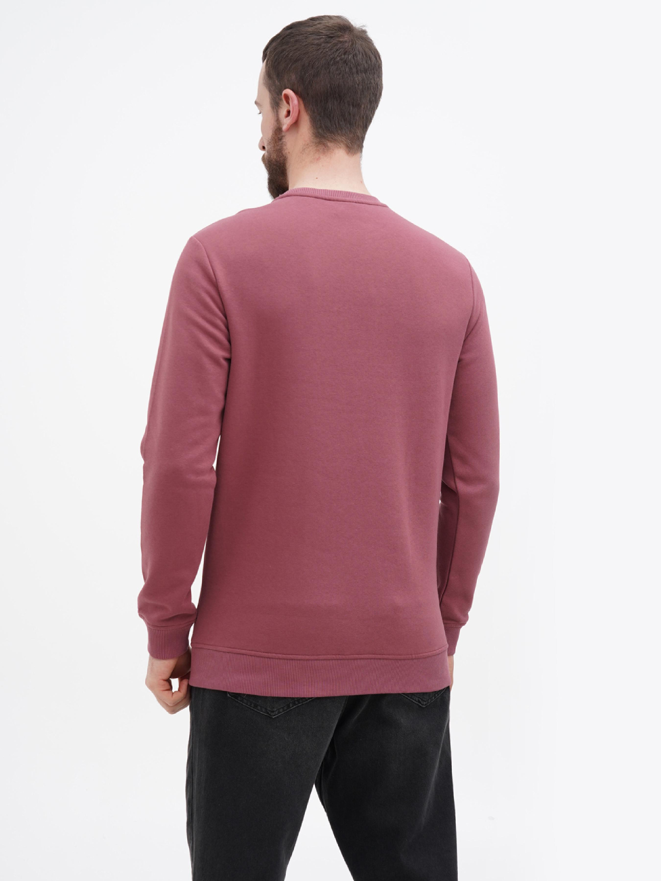 Свитшот US Polo модель USPA.Hu231122-5.VR180 Фото