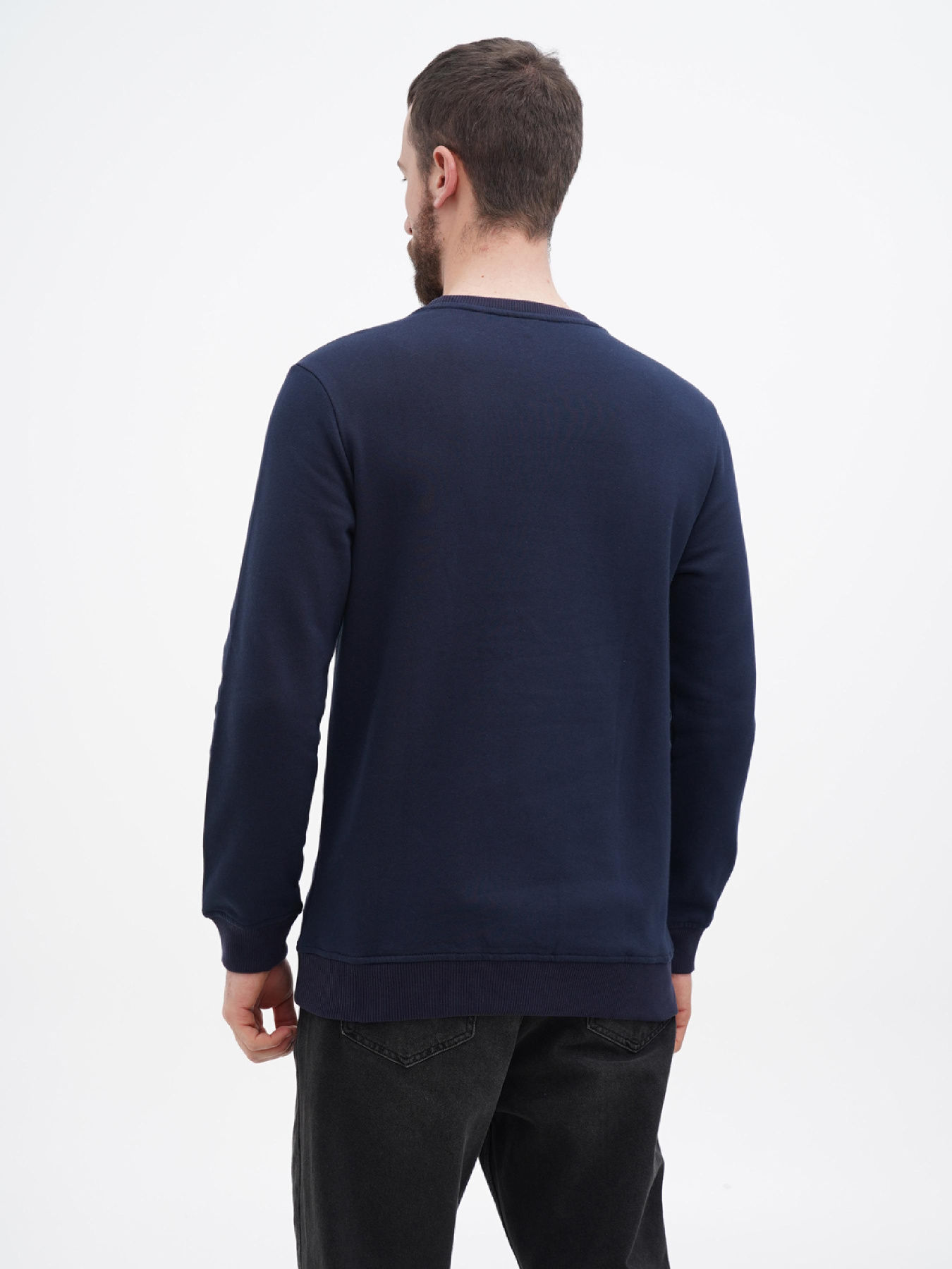 Свитшот US Polo модель USPA.Hu231122-6.VR033 Фото