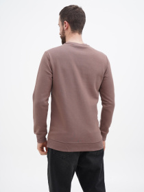 Свитшот US Polo модель USPA.Hu231122-7.VR011 Фото