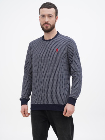 Джемпер US Polo модель USPA.1274816.VR033 Фото