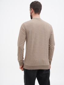 Джемпер US Polo модель USPA.1274816.VR153 Фото