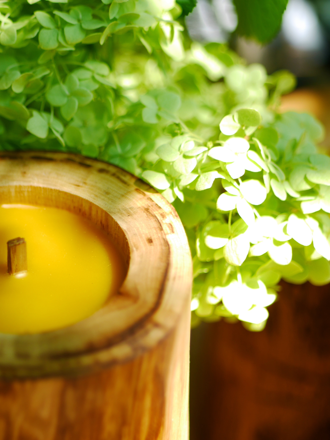 Деревянная интерьерная свеча с неповторимым узором на дереве WOOD MOOD модель 1511100000 Фото