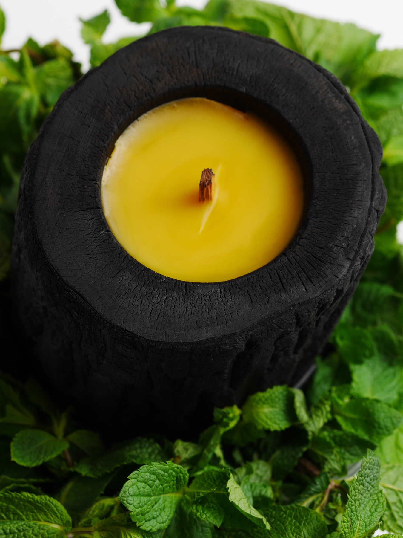 Деревянная свеча обожжена огнем WOOD MOOD модель 1822100000 Фото