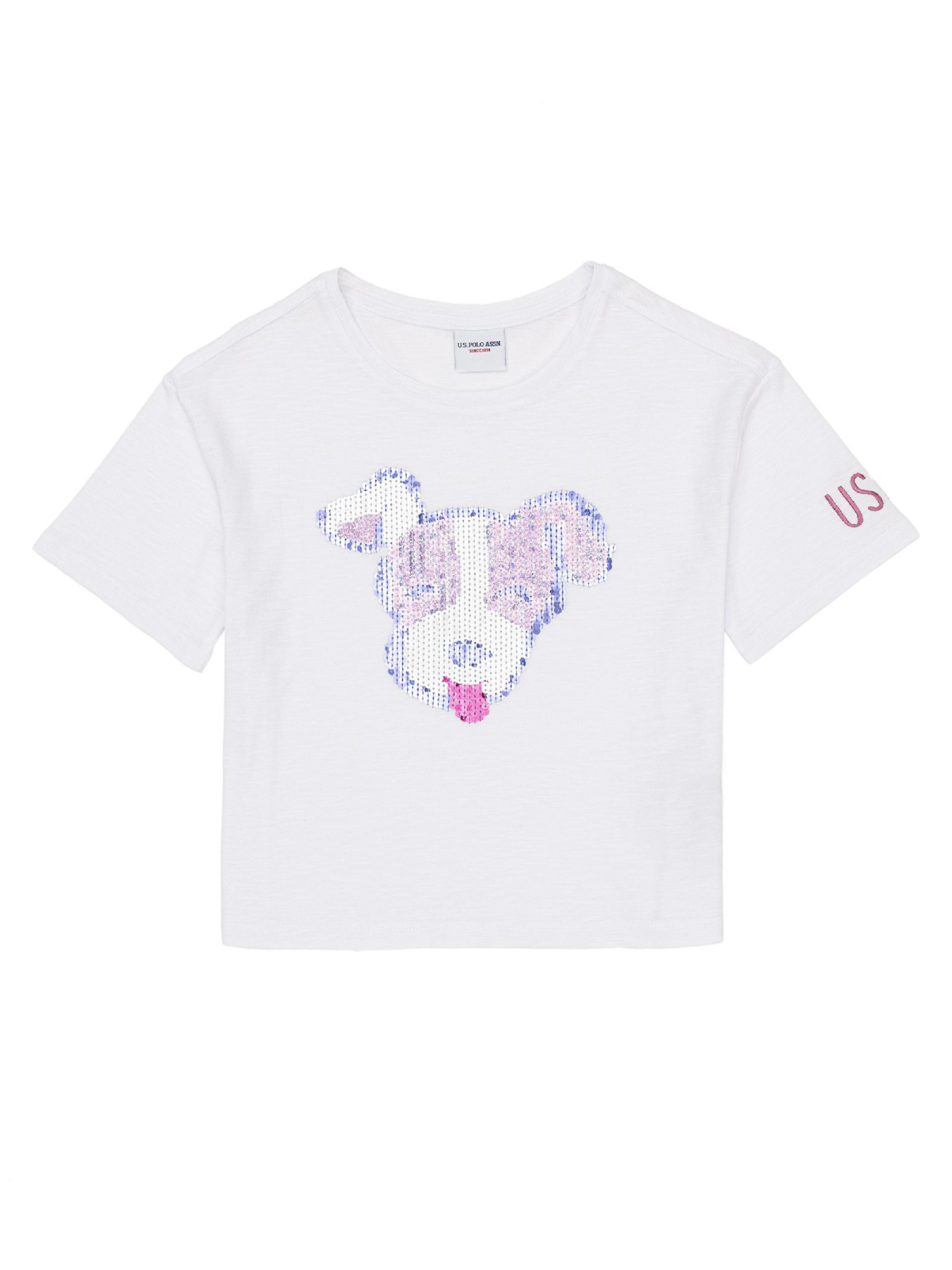 Футболка US Polo модель G084SZ011.000.1368418.VR013 Фото