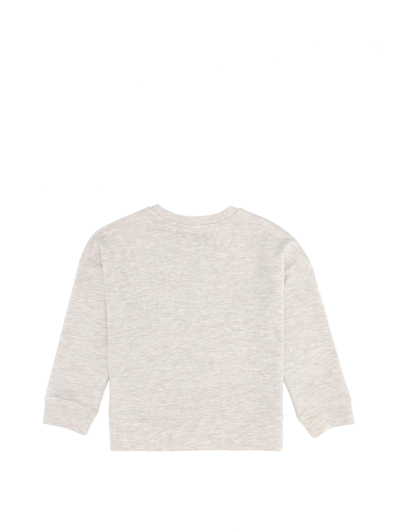 Свитшот US Polo модель G084SZ082.000.1455437.VR156 Фото